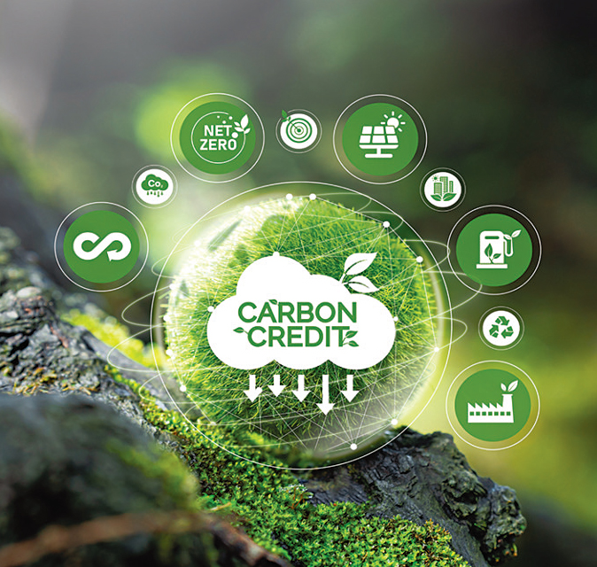 A New Step Forward for the Carbon Market: ICVCM Recognizes Verra and ART as Meeting High-Integrity Benchmark