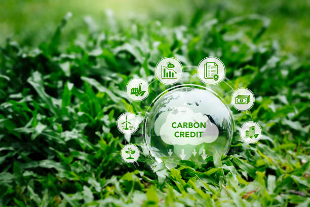 Voluntary Carbon market gets a boost: High-Integrity CCP labels emerge ...