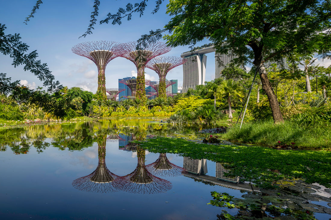 Singapore Solidifies Its Position as a Carbon Trading Hub: Launch of the Singapore Carbon Market Alliance (SCMA)