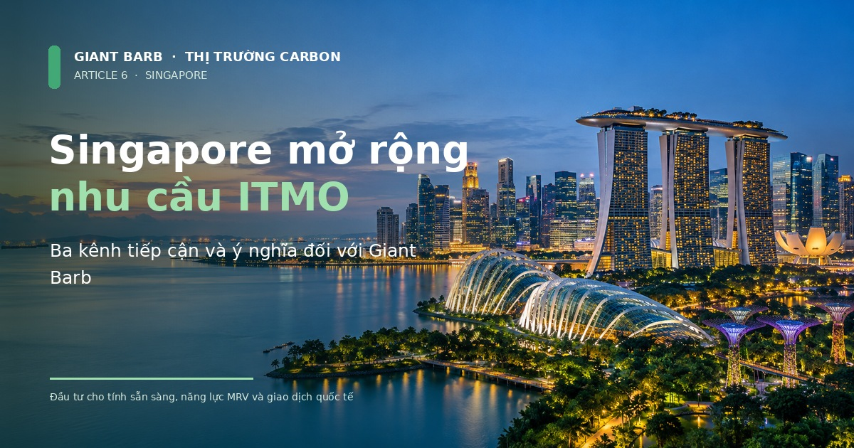 Singapore mở rộng nhu cầu ITMO: Ba kênh tiếp cận và ý nghĩa đối với các đơn vị cung cấp
